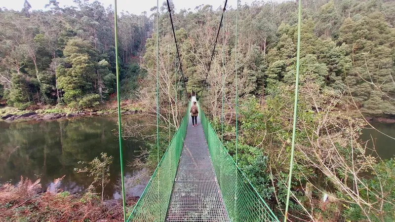 Central Hidroeléctrica De Tambre Puente