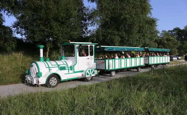 Coto Minero De Irugurutzeta Tren Verde